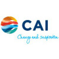 cai cicatelli associates inc