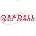 oradell animal hospital