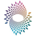 co active training institute