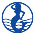 cheetham salt limited