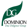 dominion due diligence group d3g