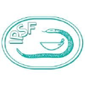 ipsf international pharmaceutical students federation