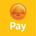 Swedbank Pay Logo