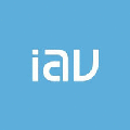 iav do brasil