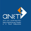 agence nationale pour lemploi et le travail independant aneti