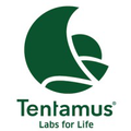 tentamus group