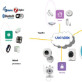 alpha networks inc