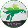 groupe bovis