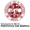 fondazione irccs policlinico san matteo pavia