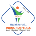 indus hospital