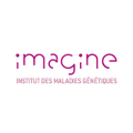 institut imagine