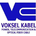 pt voksel electric tbk