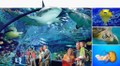 ripleys aquarium of canada