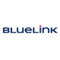 bluelink group