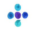 cerba healthcare belgium