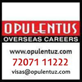opulentus the visa company
