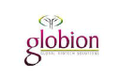 globion india private limited