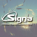 signa sa de cv