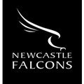 newcastle falcons rugby club