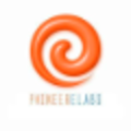 pioneer elabs limited hyderabad