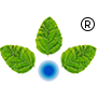 anupam rasayan india ltd