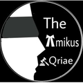 the amikus qriae