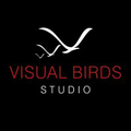 visual birds studio pvt ltd