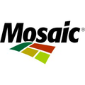 mosaic india