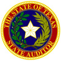 texas state auditors office