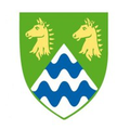 epsom ewell borough council