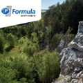 saint gobain formula
