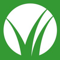 bloomtree realty