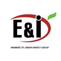 emirates electrical instrumentation company