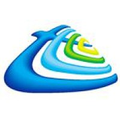 tawoos power telecommunications llc