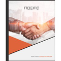 noema consulting