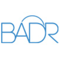 badr acquired by incorta