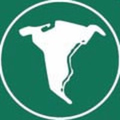 delta medical egypt