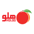 holoo software