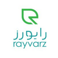 rayvarz software engineering company
