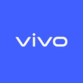 vivo egypt