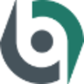 bonsenreuling accountants adviseurs