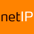 netip it med overskud