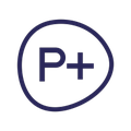 p pensionskassen for akademikere