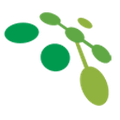 tech valley networks ltd