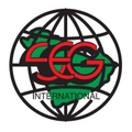 saudi engineering group international