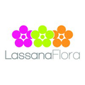 lassana group of companies