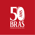 bras immobilier