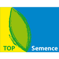top semence