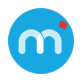 mistertemp leader de linterim digital