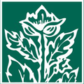 coutot roehrig